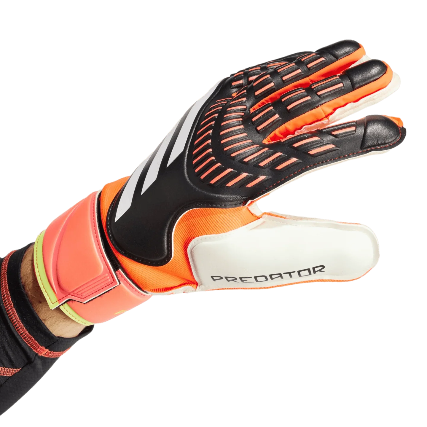 Adidas Predator Match Goalkeeper Gloves - Image 2