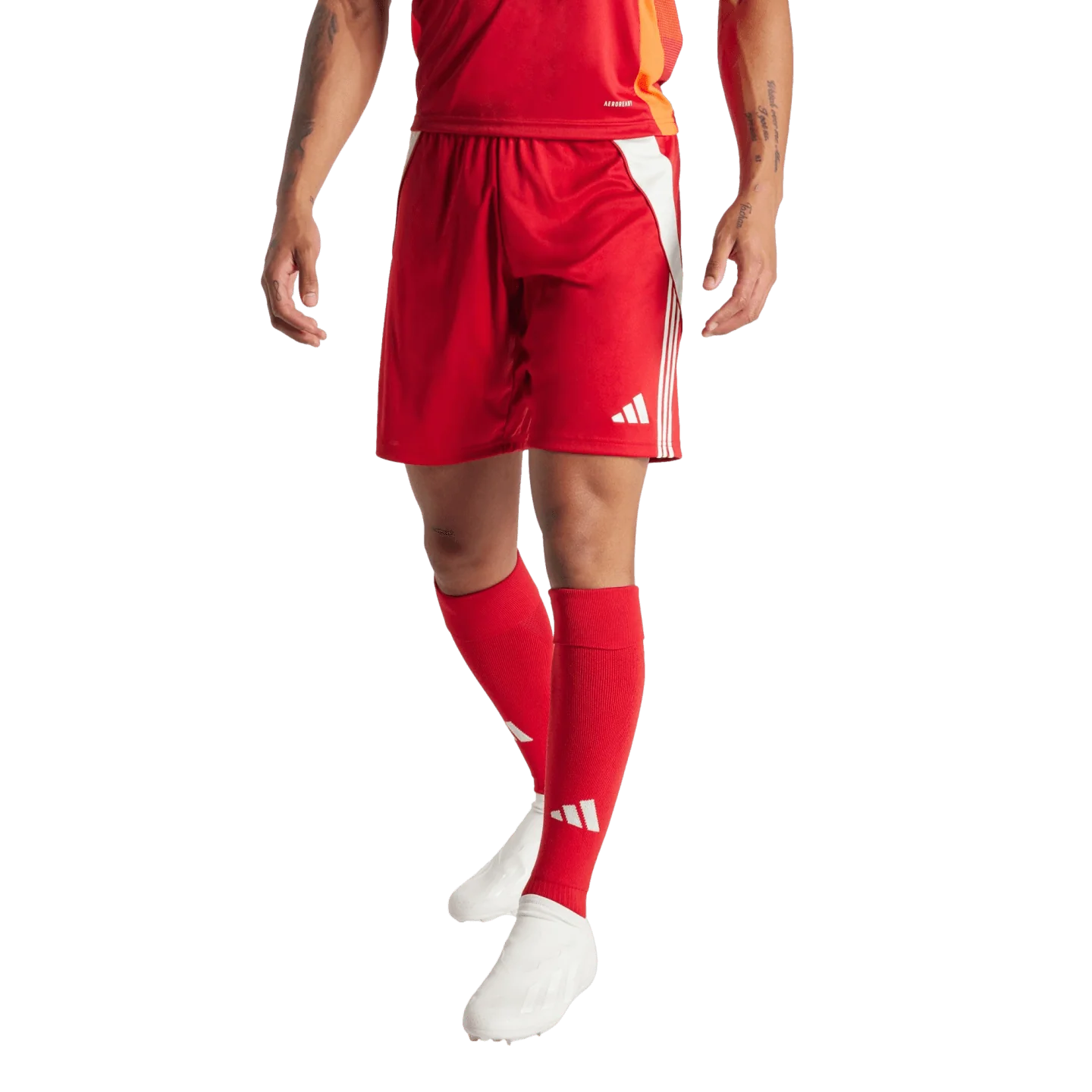 adidas Tiro 24 Shorts - Red - Image 2