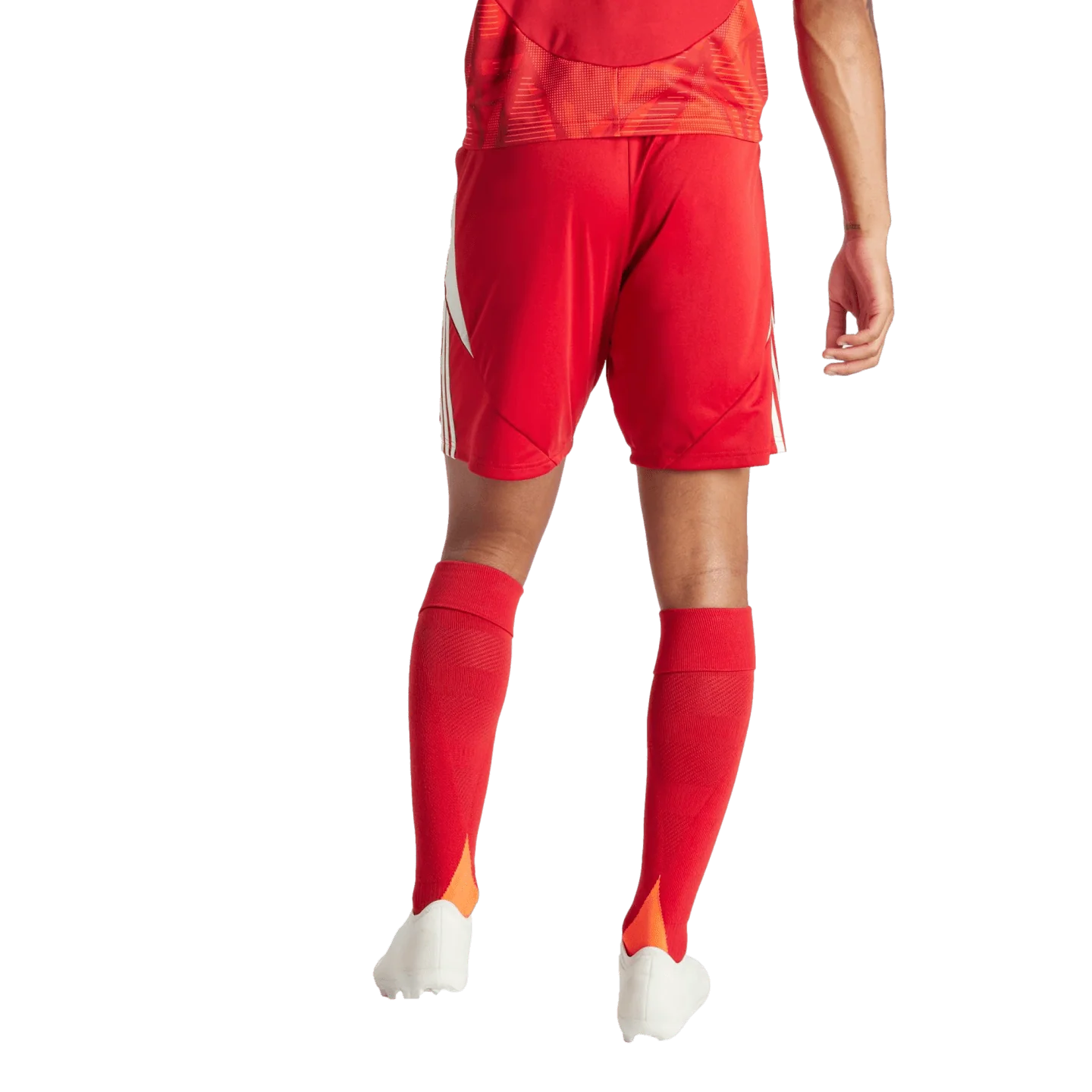 adidas Tiro 24 Shorts - Red - Image 3