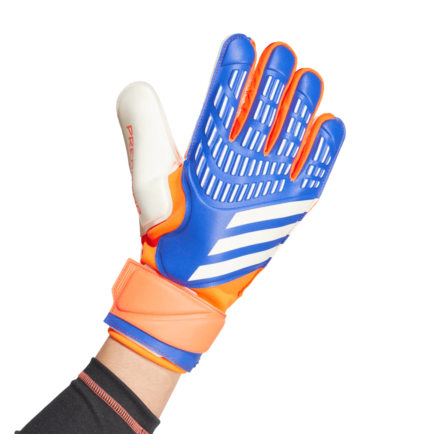 Adidas Predator Match Goalkeeper Gloves - Image 2