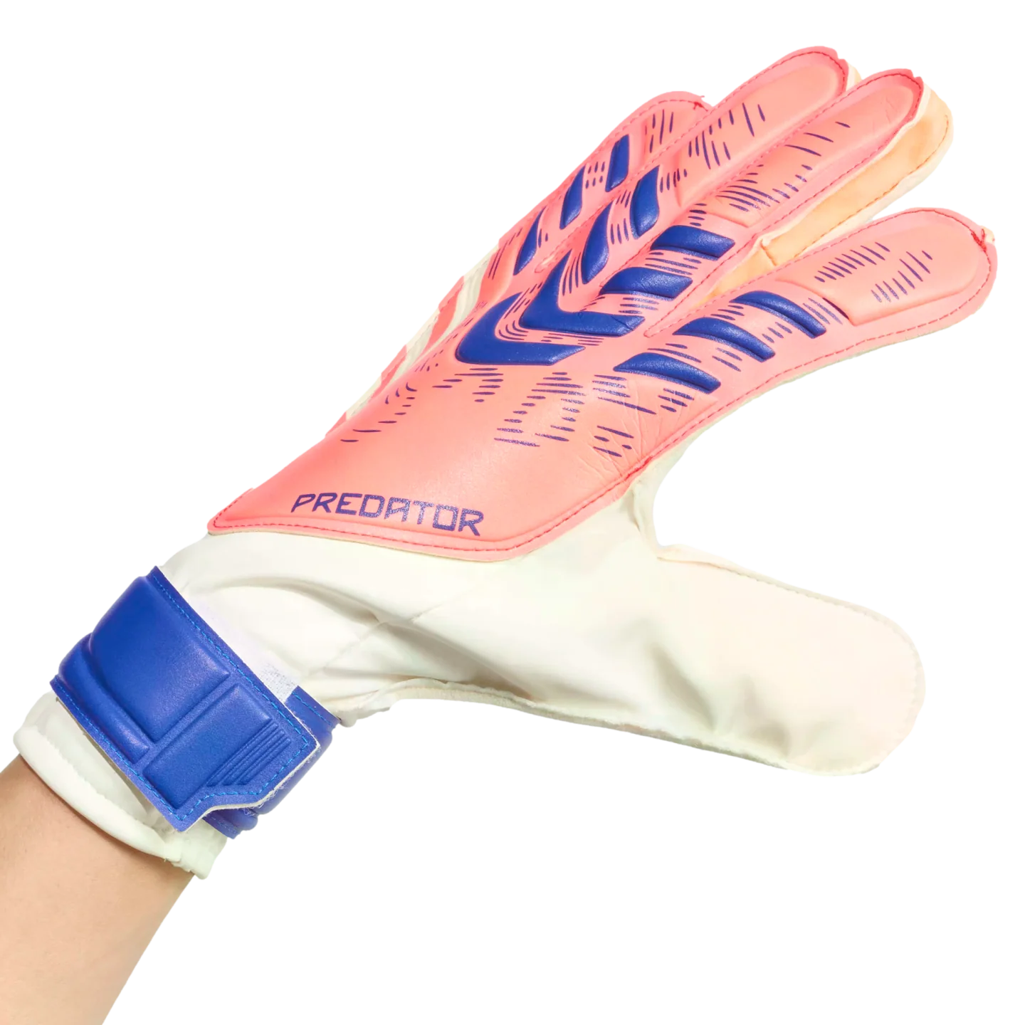 Adidas Predator Training Goalkeeper Gloves - Image 2