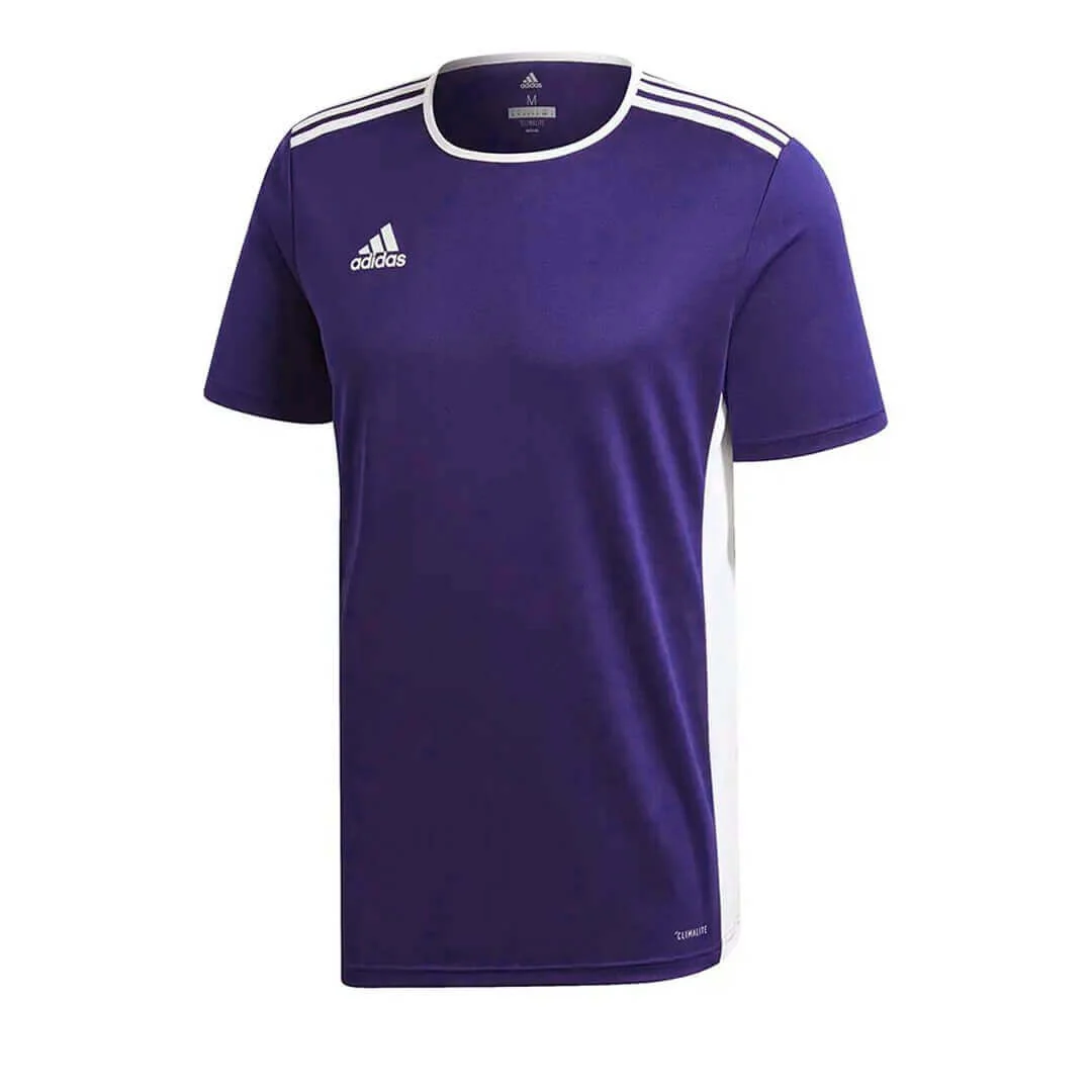 Adidas Entrada 18 Youth Jersey - Purple