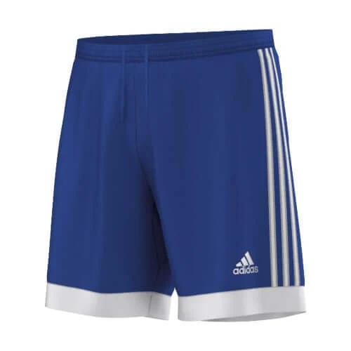 Adidas Tastigo 15 Youth Shorts - Blue