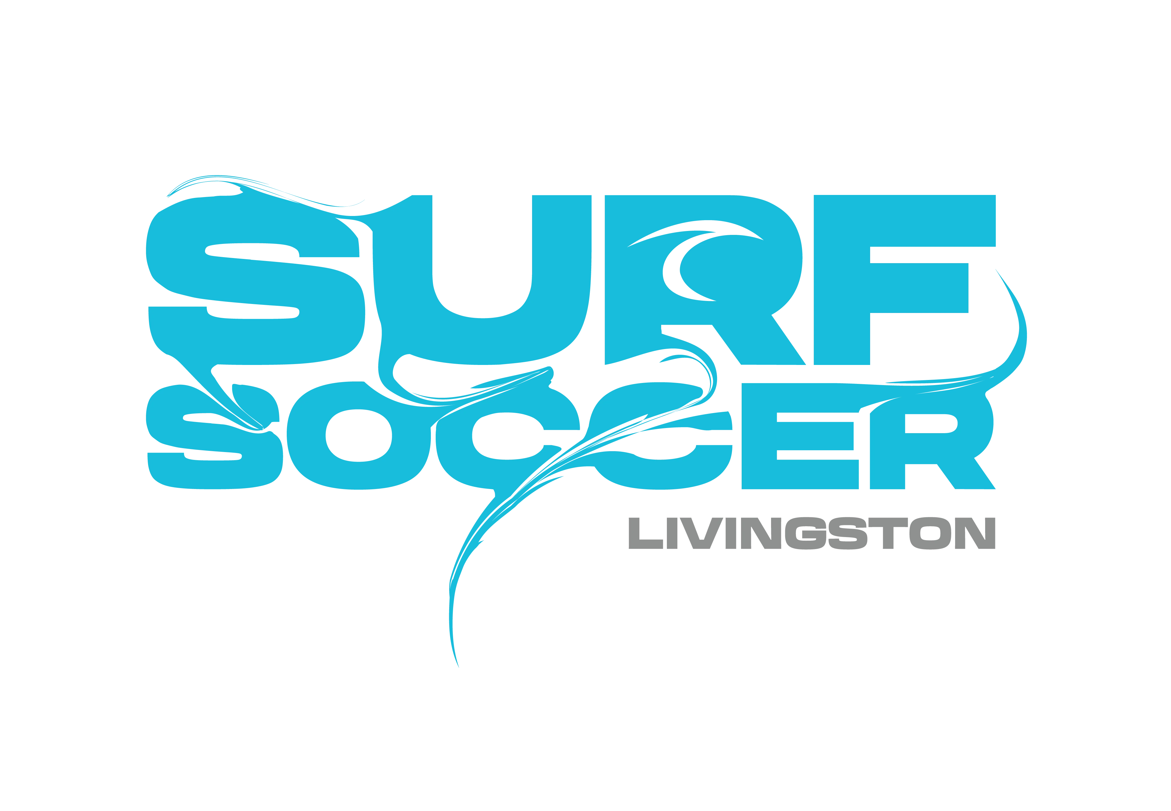 Blue Surf Soccer Paint Livingston Surf