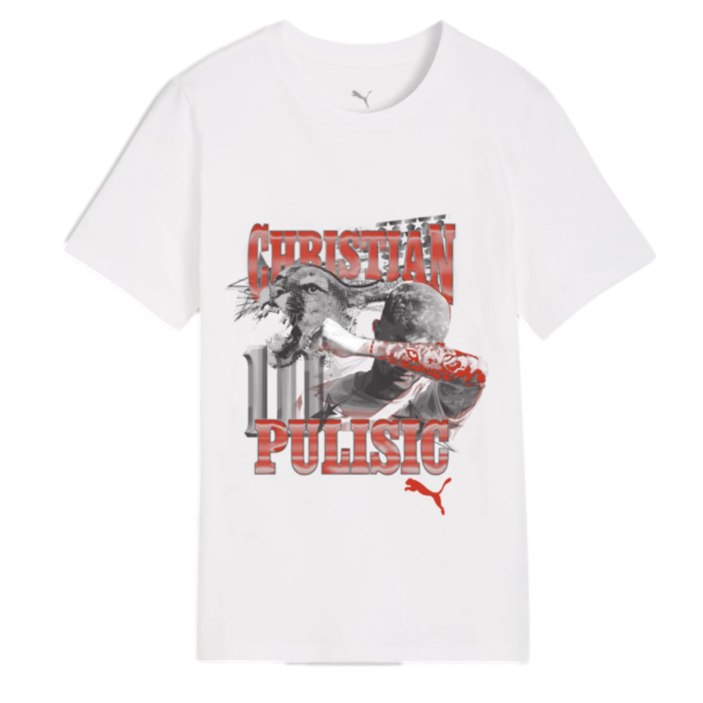 Puma Pulisic American Dream Youth Tee