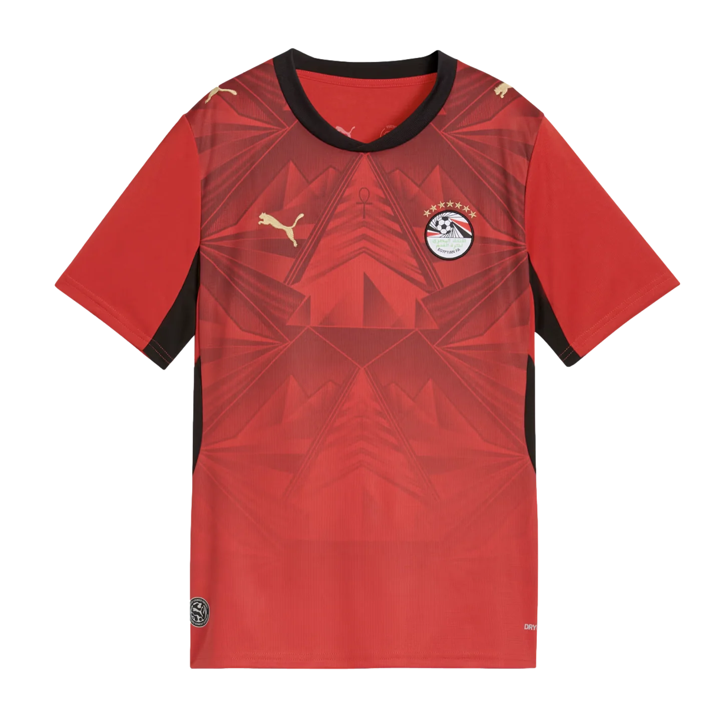 Puma Egypt 2026 Youth Home Jersey