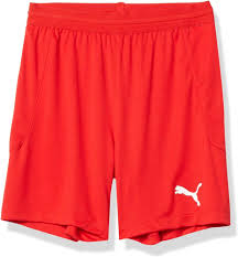 Puma Teamfinal 21 Knit Shorts -Red