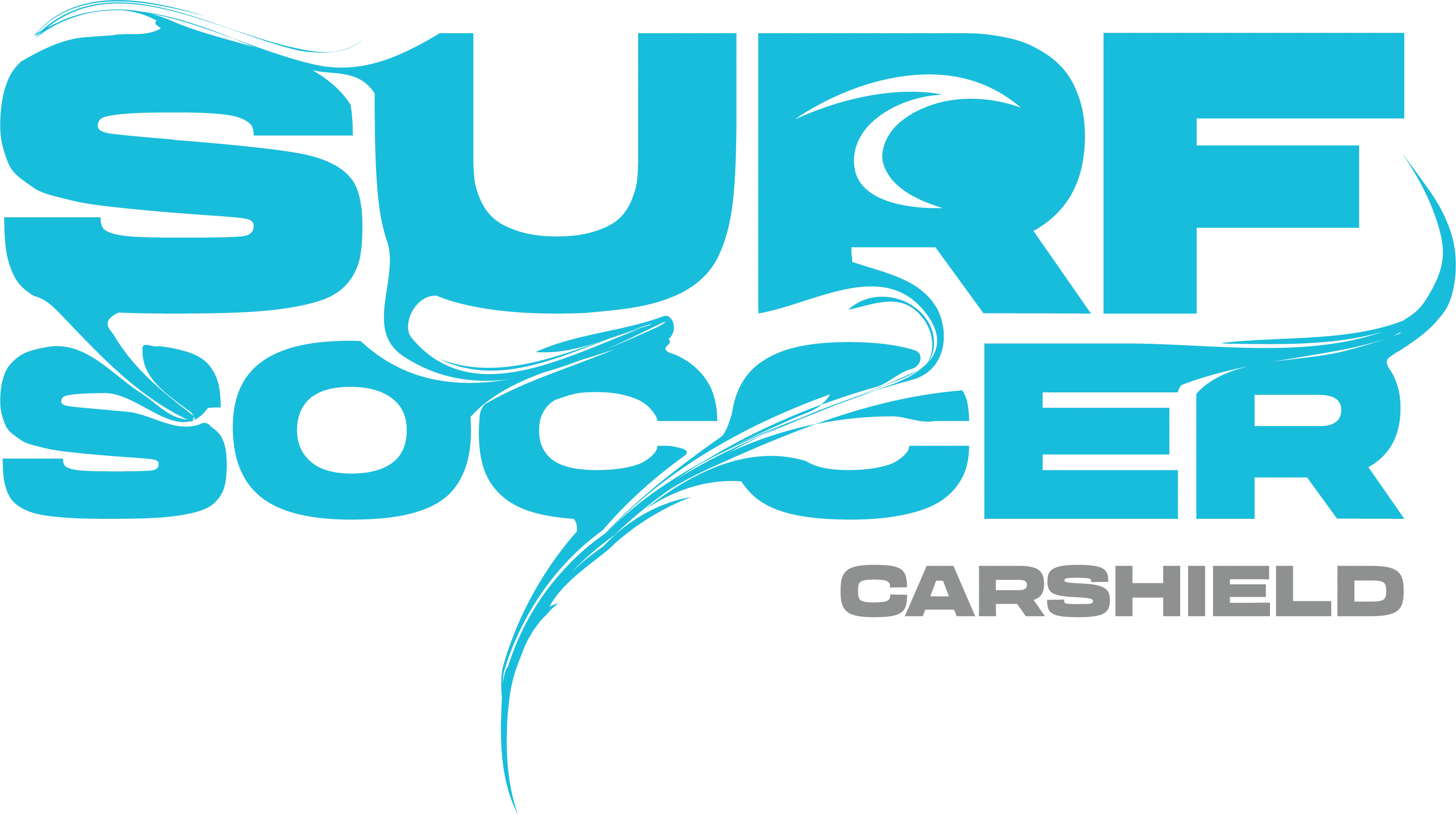 Blue Surf Soccer Paint Logo Carshield