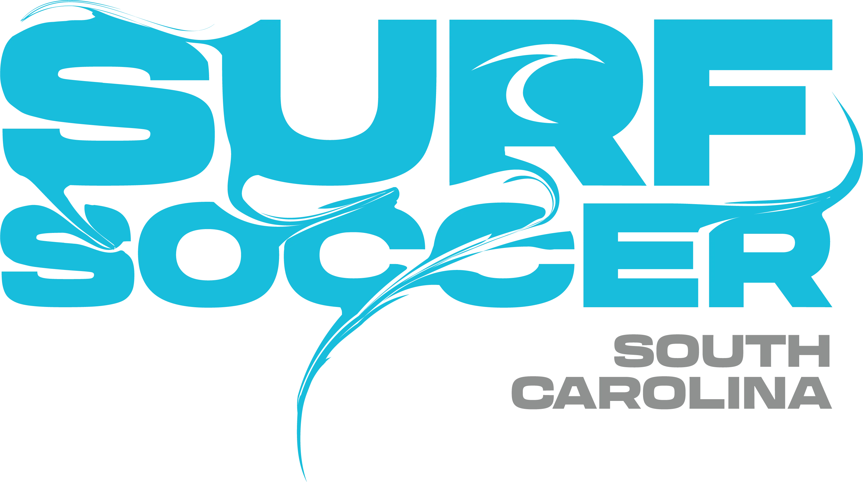 Blue Surf Soccer Paint Logo South Carolina