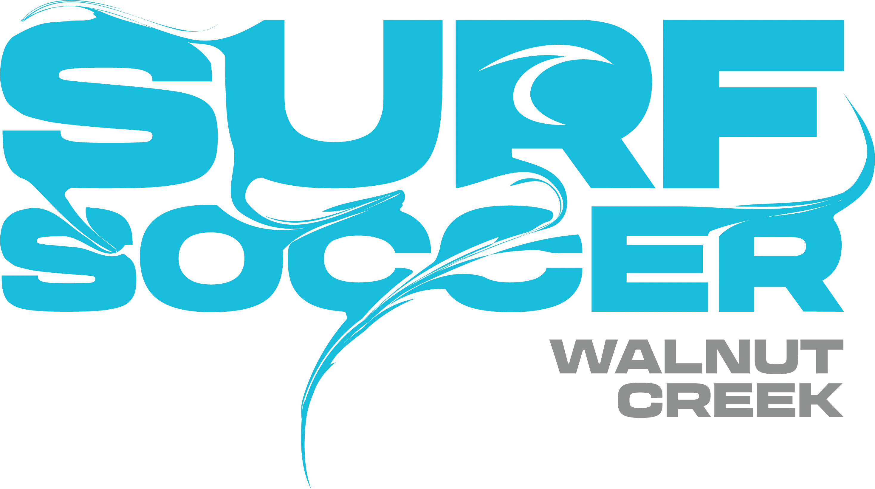Blue Surf Soccer Paint Logo Walnut Creek
